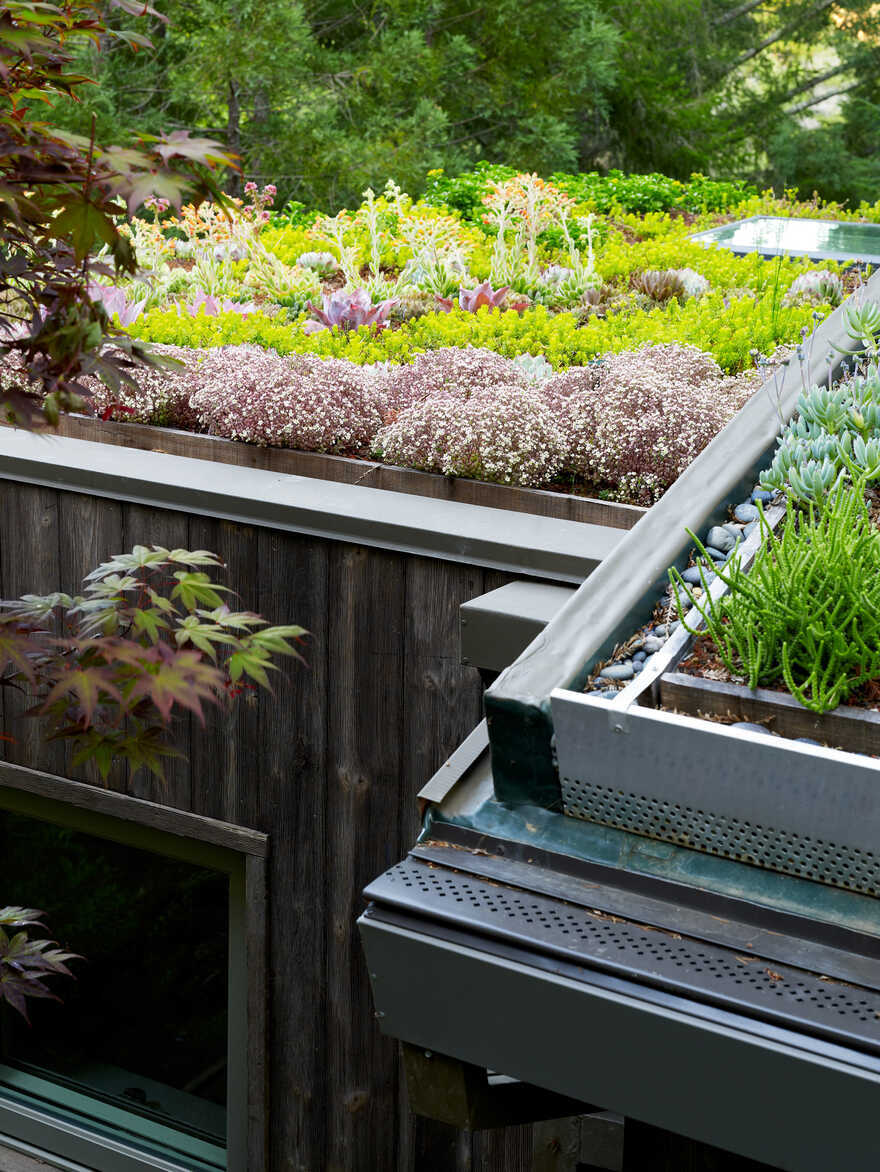 green roof, California / Feldman Architecture