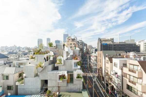 Tree-ness House, Tokyo / Akihisa Hirata