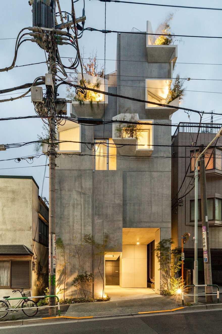 Tree-ness House, Tokyo / Akihisa Hirata