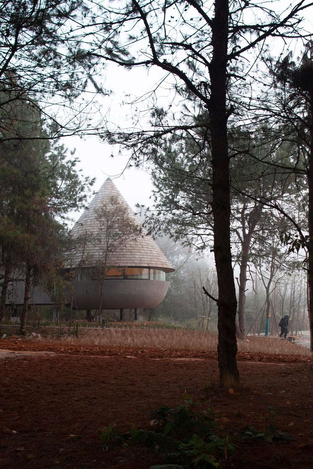 A Mushroom-Formed Wood House in the Forest