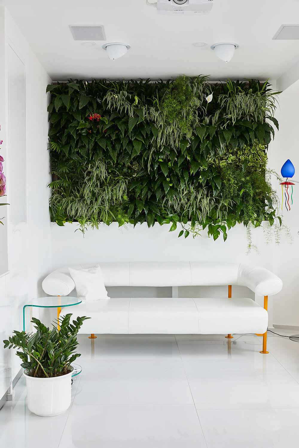 green wall, sustainable home trends