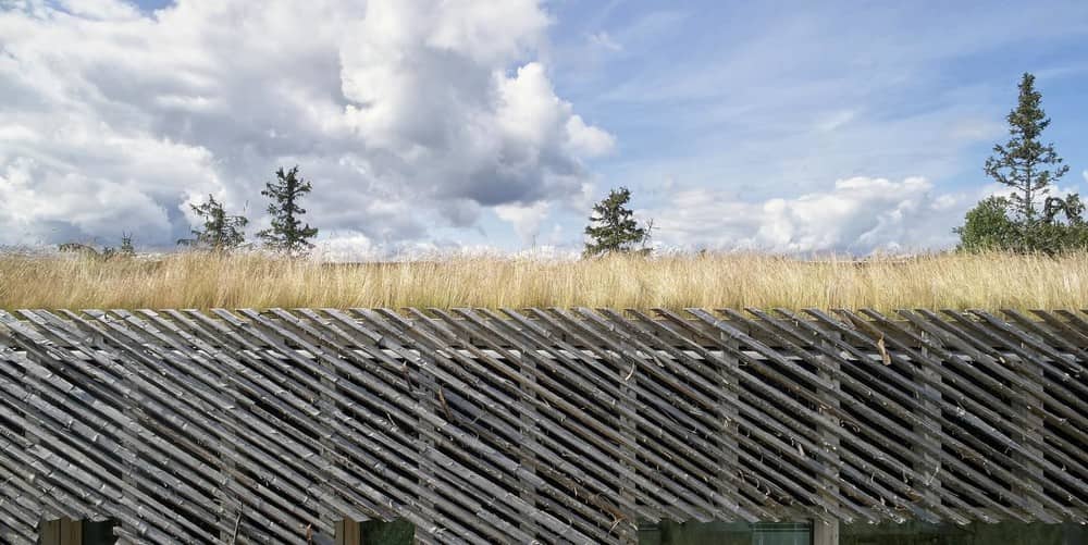 green roof, Mork-Ulnes Architects