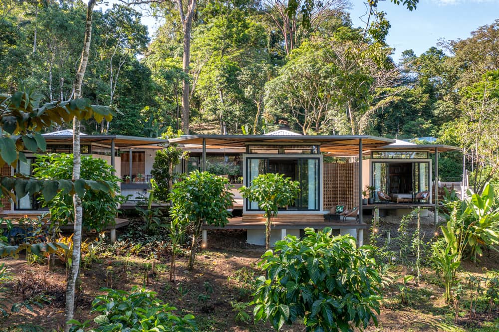 Tropical Pergola is Woven in the Jungle of Costa Rica