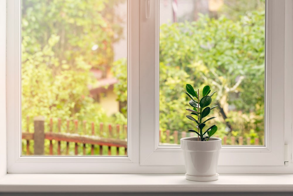How Optimal Window Placements Improve Natural Light 