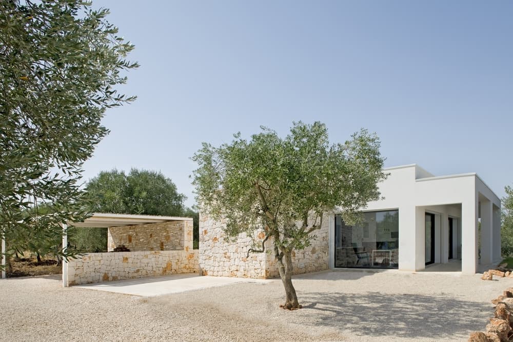 SS House - A White Volume in the Olive Grove