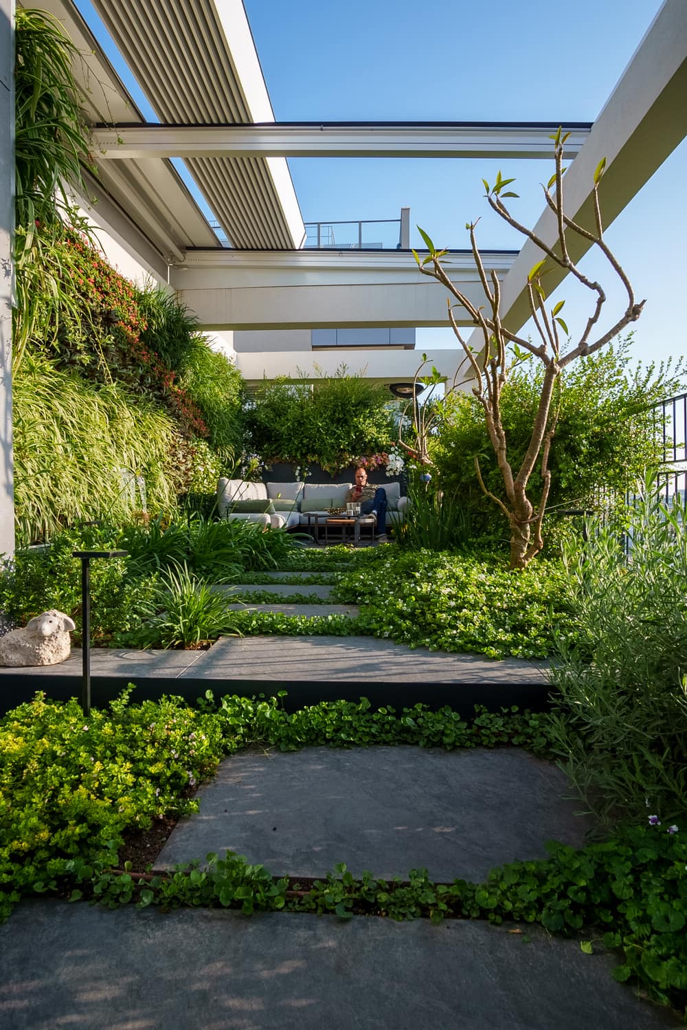 roof terrace, Carcom Landscape Design