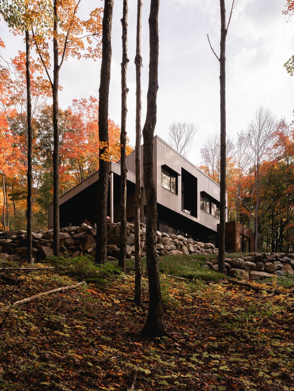 forest retreat, Atelier BOOM-TOWN