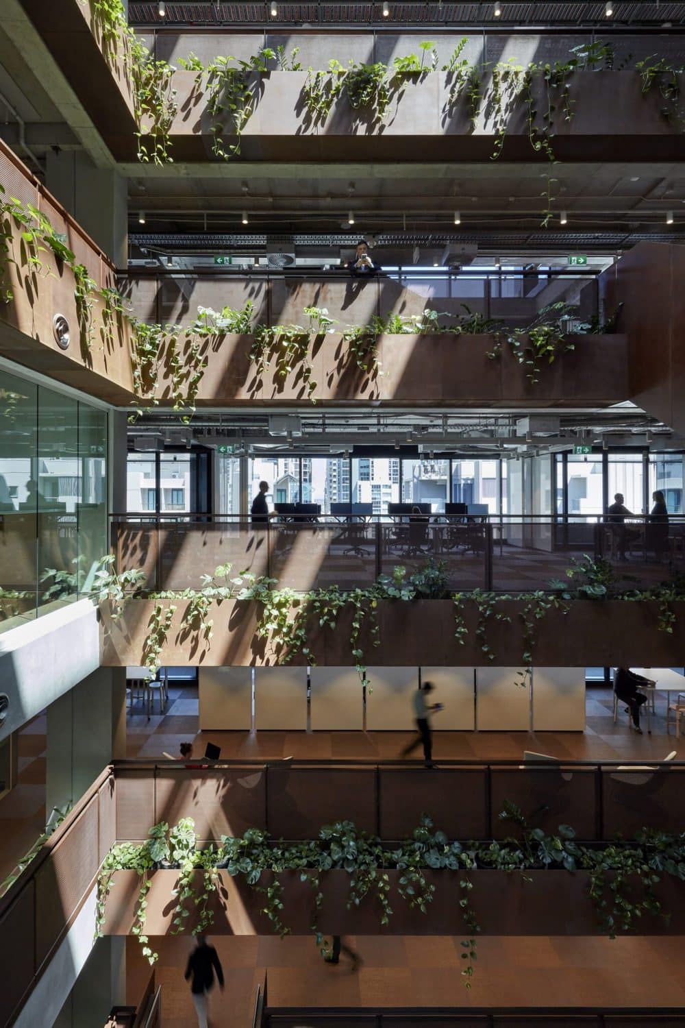 Midtown Workplace, Brisbane / COX Architecture