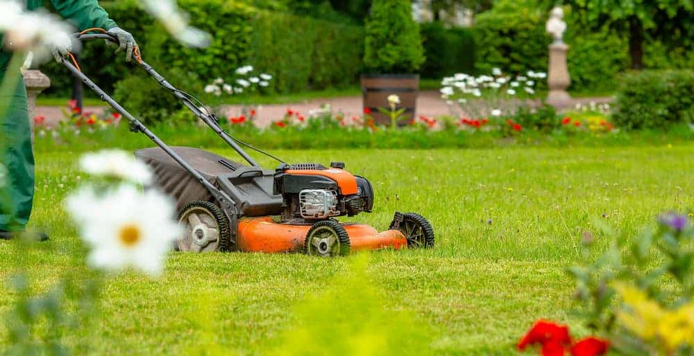 Perfect Spring Lawn Care: How to in 4 Steps