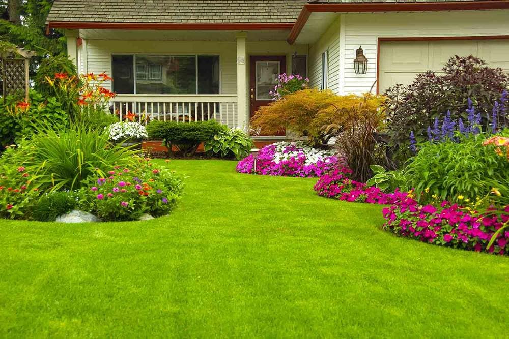 Landscaping with Artificial Grass: 5 Ideas for Your Front Yard