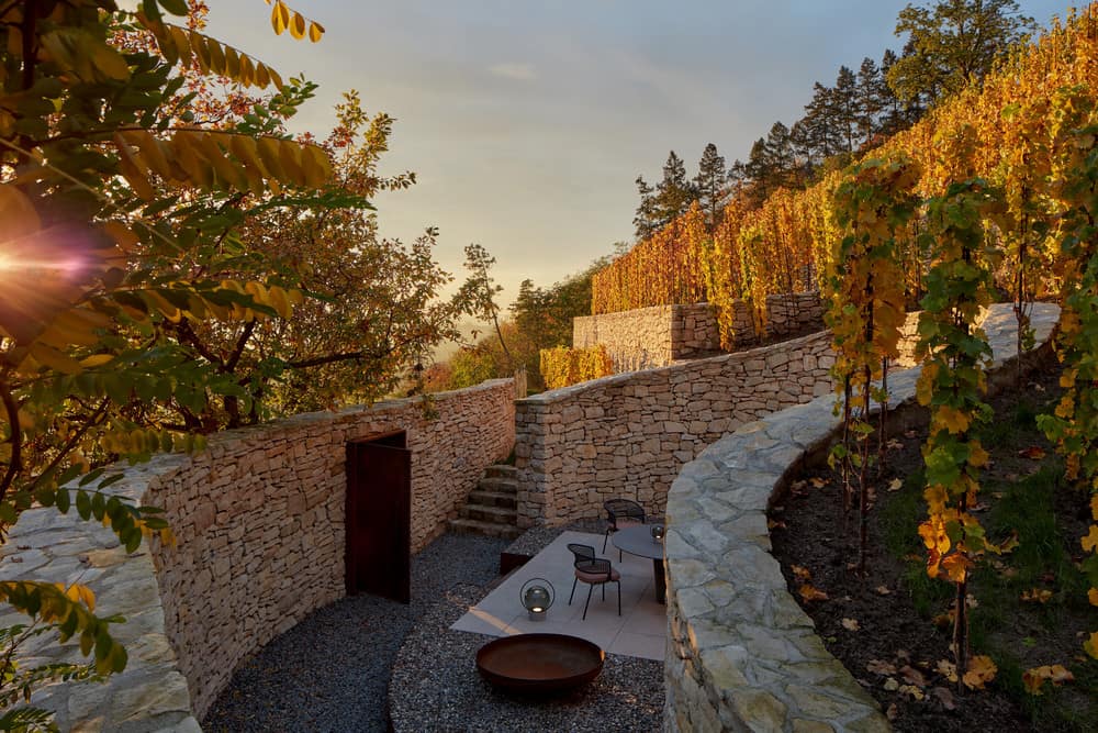 terraced vineyard, Marco Maio Architects