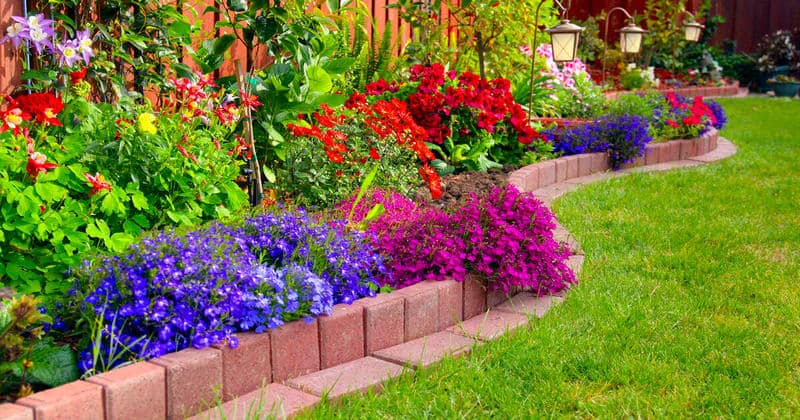 Plant Borders and Flower Beds