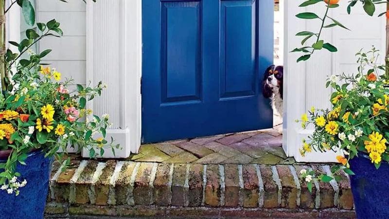 Flank the Front Door with Potted Plants