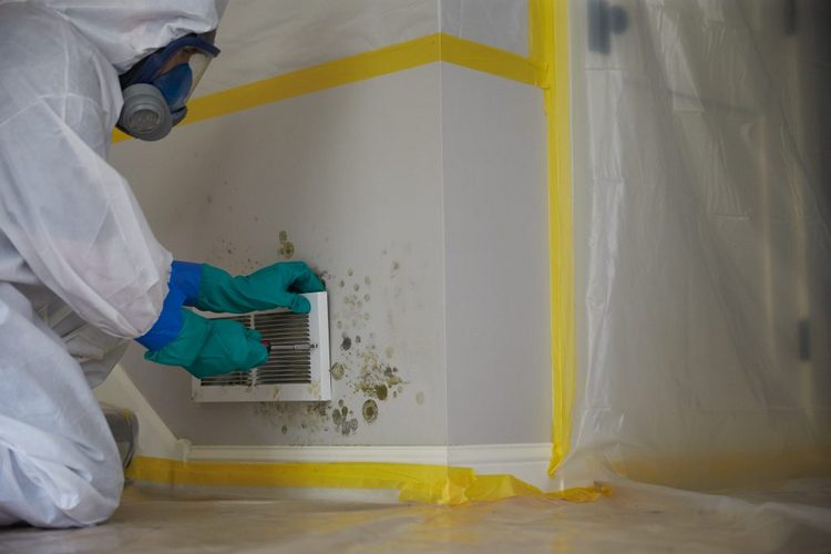 Breathing Fresh Air: 4 Effective Remediation Strategies to Conquer Mold Infestation