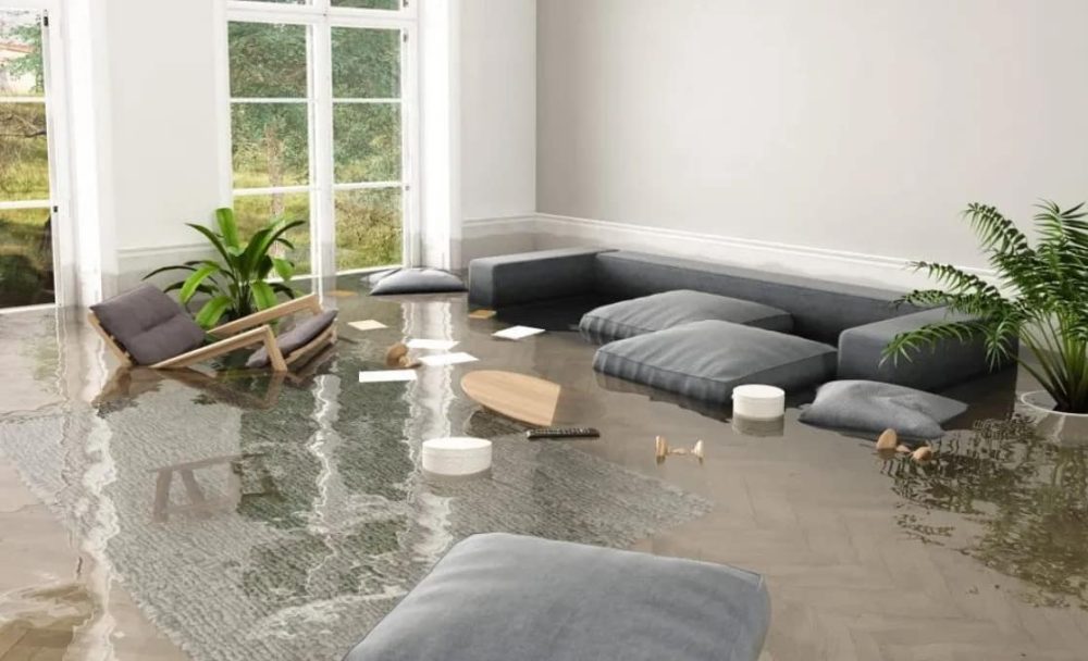 The Leading Signs of Water Damage: What to Look for and How to Respond
