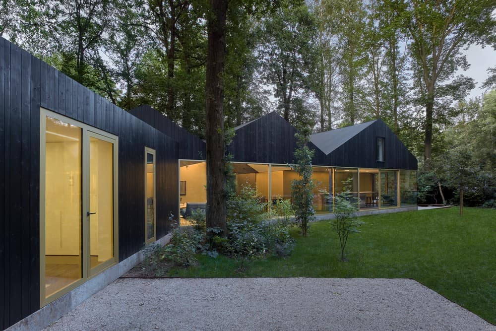 Living in the Woods - House WADV by BASIL Architecture
