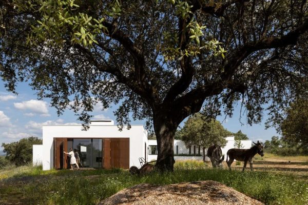 House in Crato / Inês Brandão Arquitectura