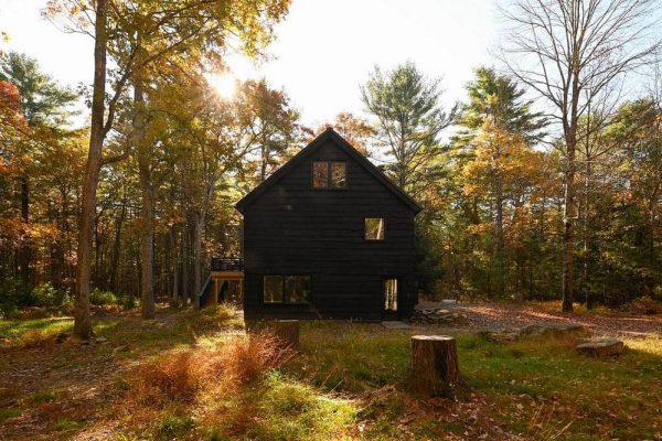 Catskills Forest Cabin / SOON Architecture Studio