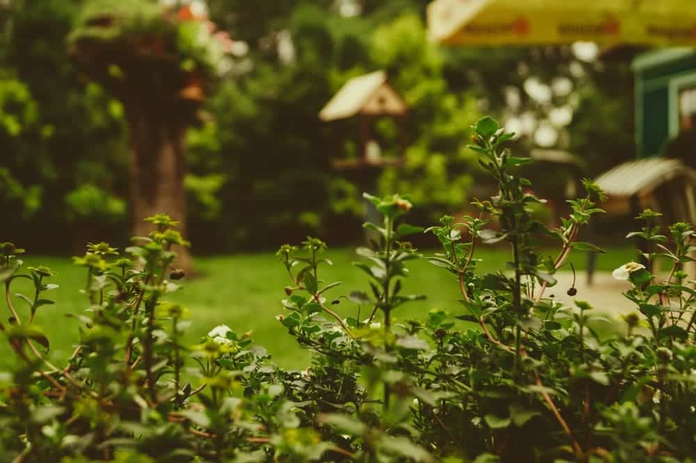 6 Landscaping Best Practices To Enhance Home Values