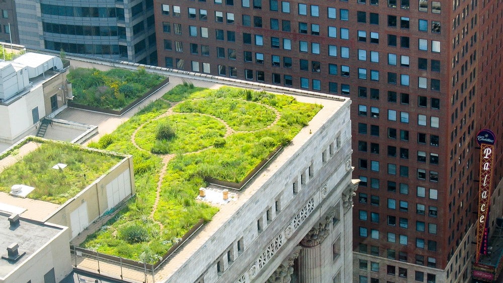 City Hall's Roof Garden Pioneer