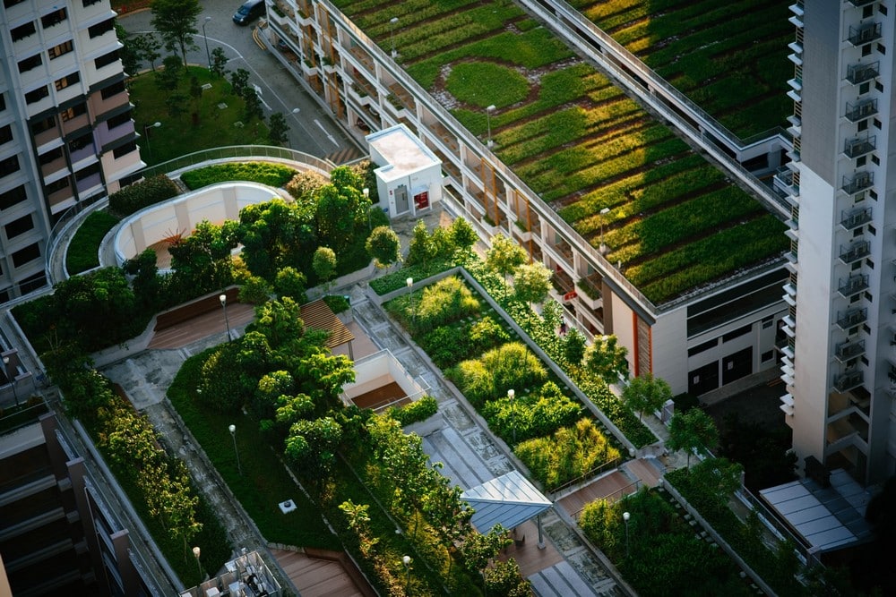 The Most Impressive Urban Rooftop Gardens in Chicago