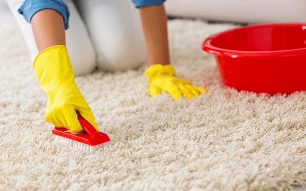 How to Clean Indoor-Outdoor Carpet