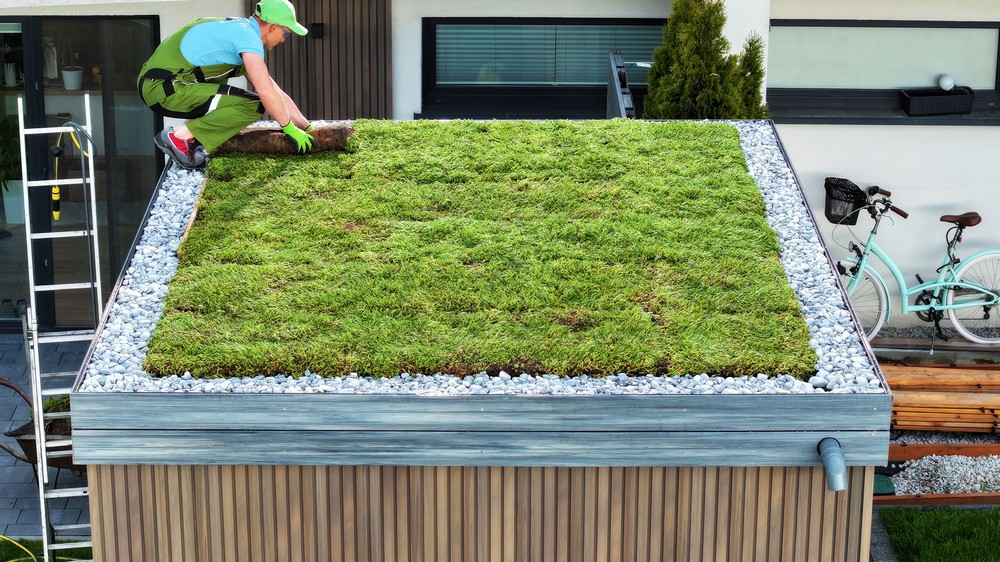 What Is A Sedum Roof? A Guide to Green Roofs