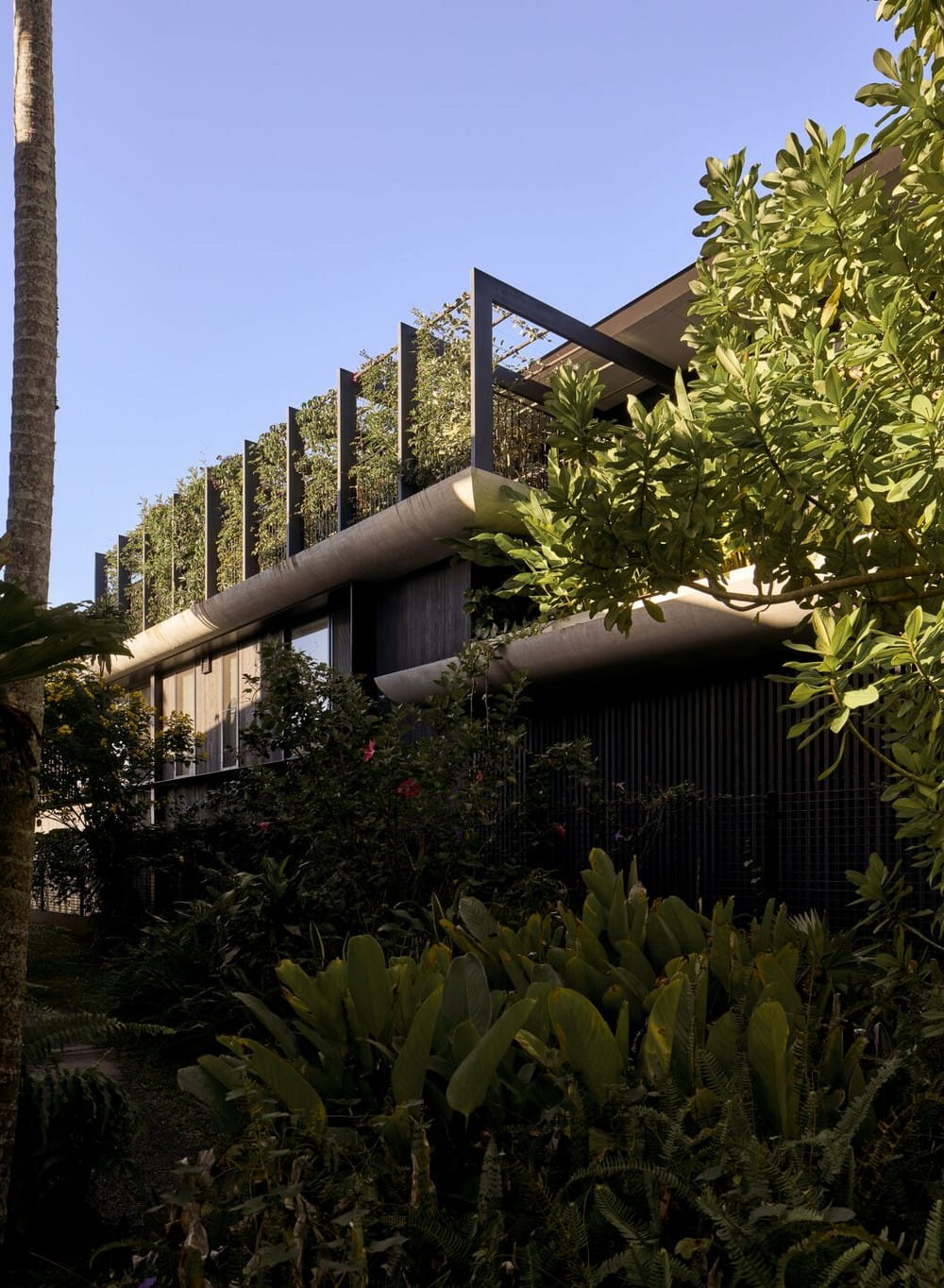 Mona Lane House / Harley Graham Architects