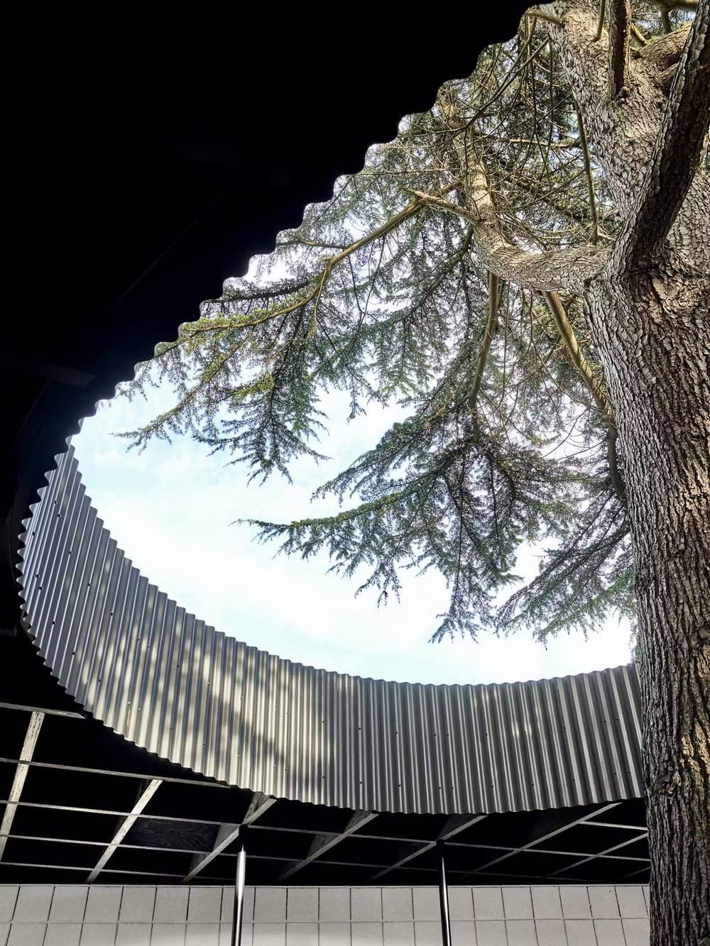 A Room Around a Tree / Tikari Works