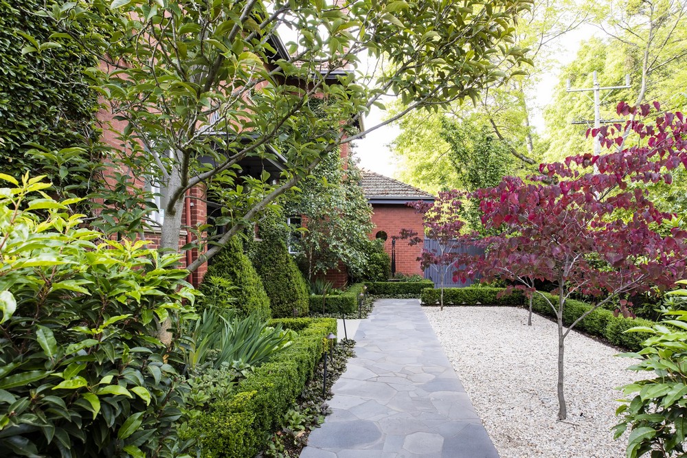 Best Trees to Plant Near a House: 10 Best Choices