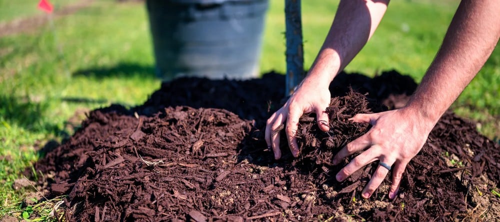 Seasonal Mulching: How to Use Mulch in Spring, Summer, Fall, and Winter