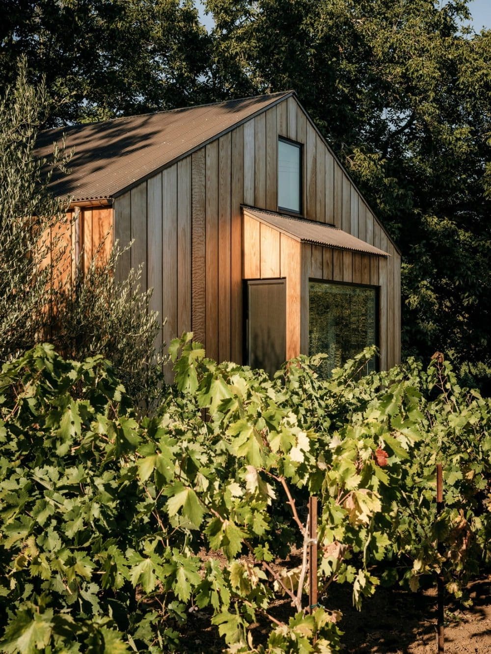 Wine Country Barn / Malcolm Davis Architecture