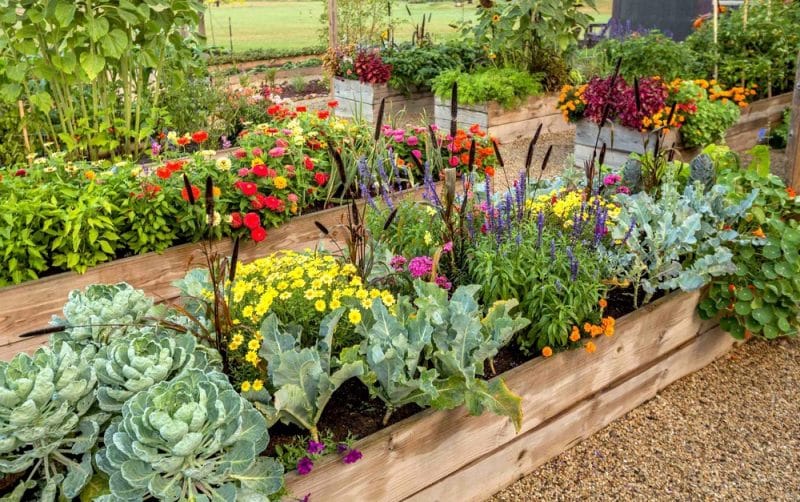Garden DIY Jobs To Start This Summer