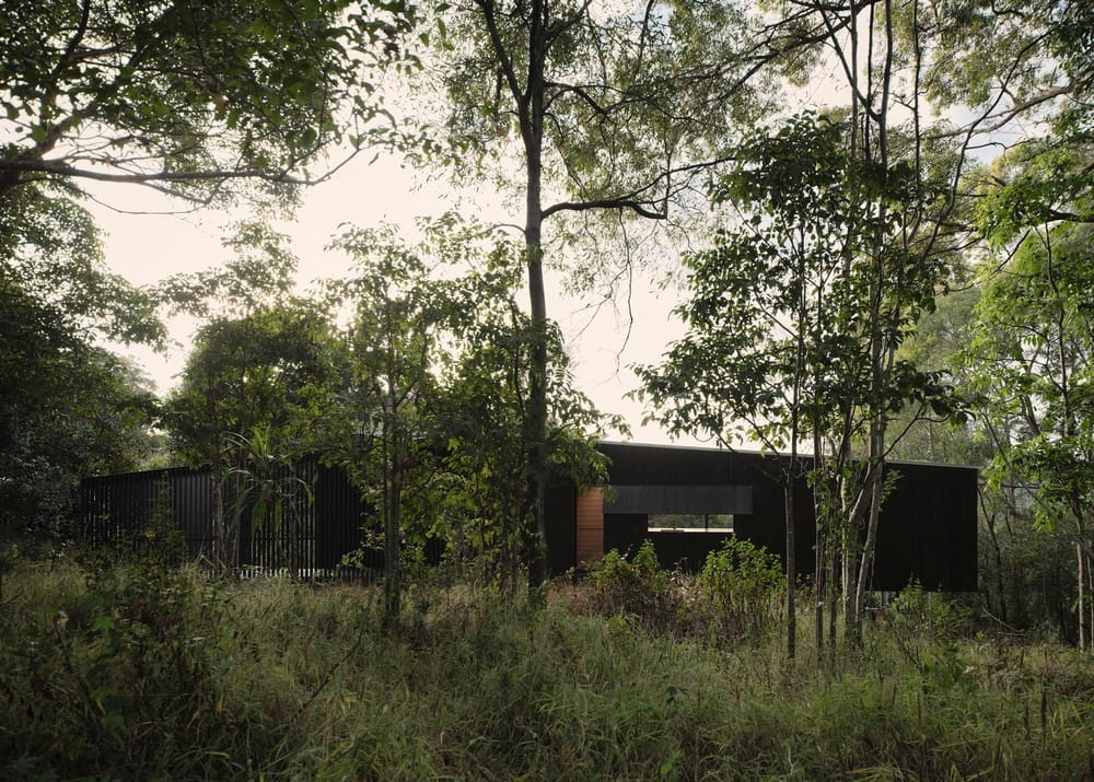 Tallowwood Cabin / Fouché Architects