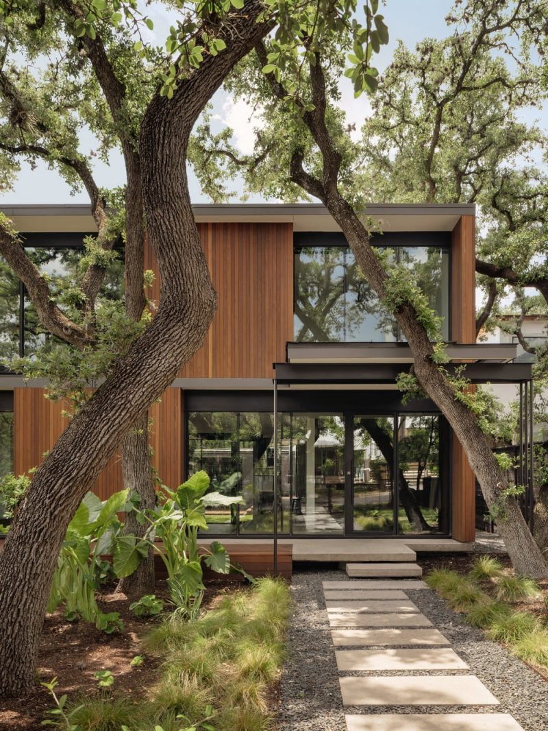 Tree X Tree House / North Arrow Studio