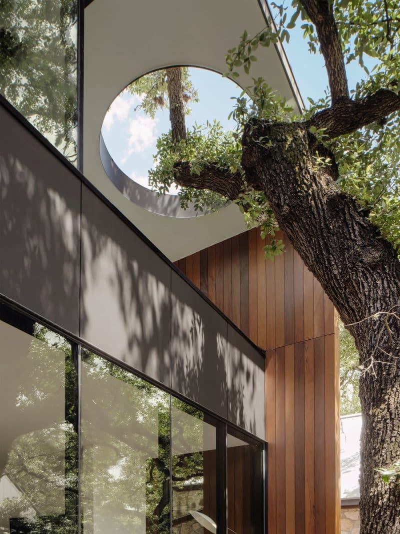 Tree X Tree House / North Arrow Studio