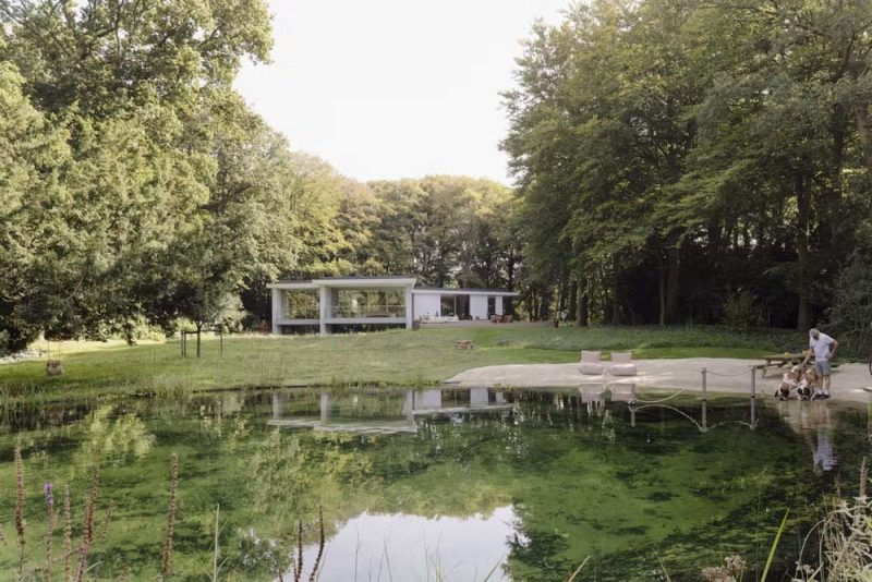 Villa Anchored in Forest Landscape