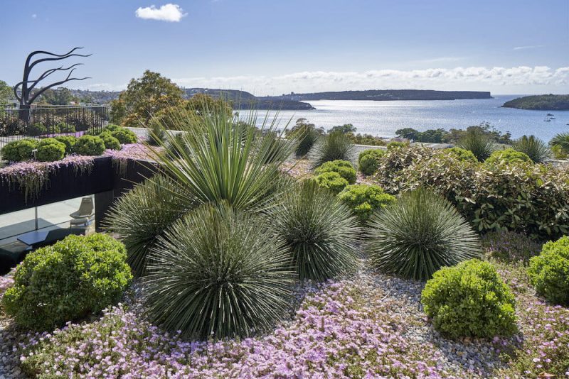 roof garden