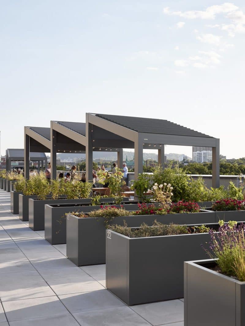 roof garden