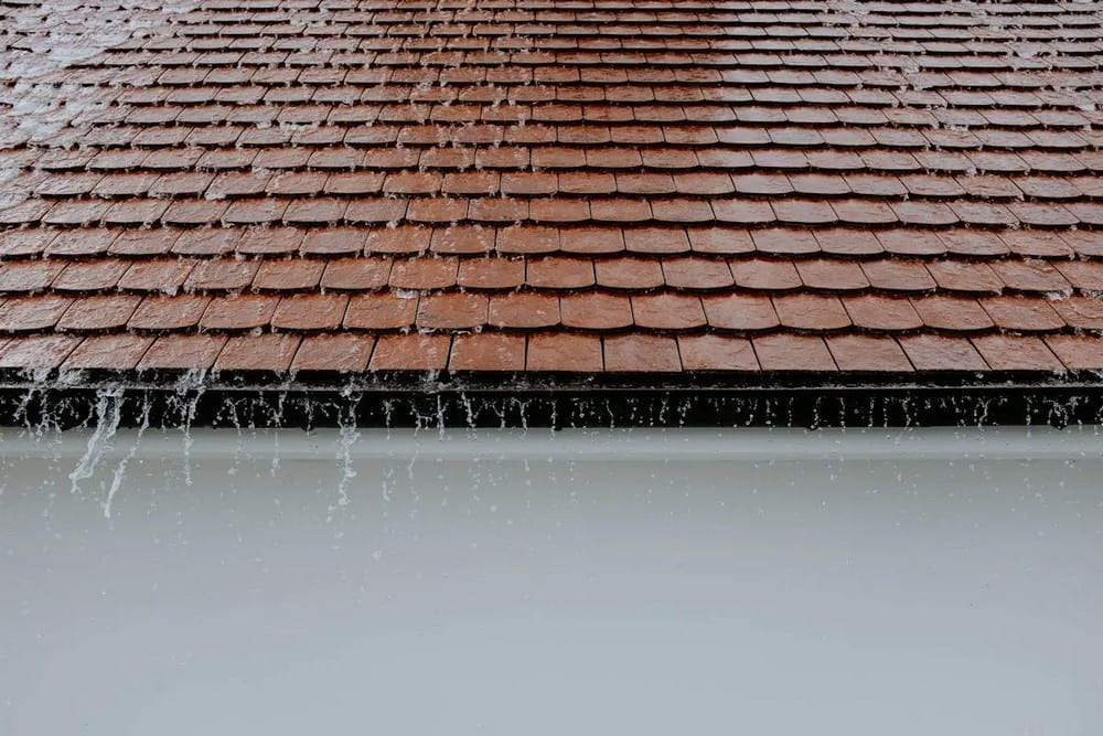 Nailed It! A Guide to Successful Roofing