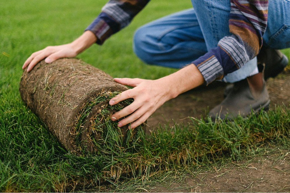 How to Prepare for a Successful Landscaping Overhaul in Your Backyard